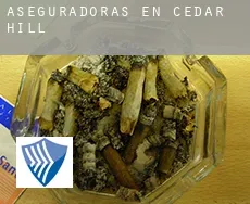 Aseguradoras en  Cedar Hill