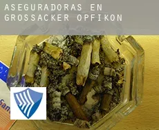 Aseguradoras en  Grossacker/Opfikon