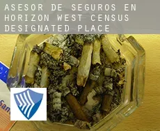 Asesor de seguros en  Horizon West