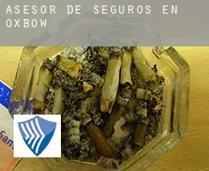Asesor de seguros en  Oxbow