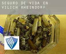 Seguro de vida en Vilich Rheindorf