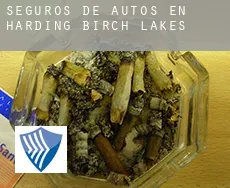 Seguros de autos en  Harding-Birch Lakes