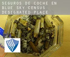 Seguros de coche en  Blue Sky
