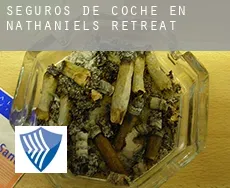 Seguros de coche en  Nathaniels Retreat