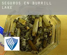 Seguros en  Burrill Lake