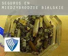 Seguros en  Międzybrodzie Bialskie