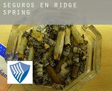 Seguros en  Ridge Spring