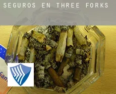 Seguros en  Three Forks
