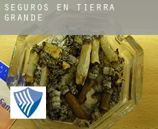 Seguros en  Tierra Grande