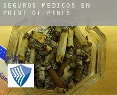 Seguros medicos en Point of Pines