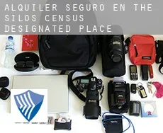 Alquiler seguro en  The Silos