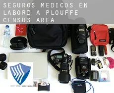 Seguros medicos en  L'Abord-à-Plouffe (census area)