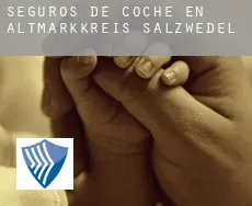 Seguros de coche en  Altmarkkreis Salzwedel