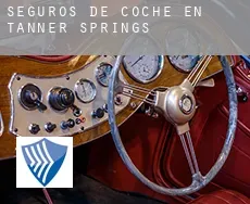 Seguros de coche en Tanner Springs
