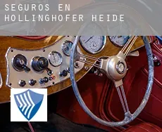 Seguros en  Höllinghofer Heide