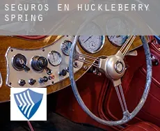 Seguros en  Huckleberry Spring