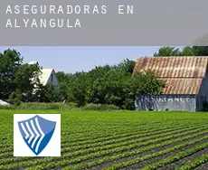 Aseguradoras en  Alyangula