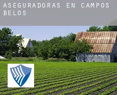 Aseguradoras en  Campos Belos