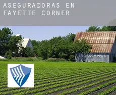 Aseguradoras en  Fayette Corner