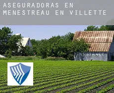 Aseguradoras en Ménestreau-en-Villette
