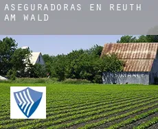 Aseguradoras en  Reuth am Wald