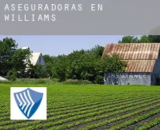 Aseguradoras en  Williams