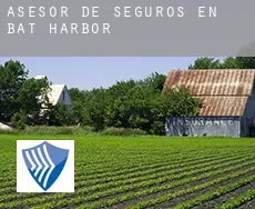 Asesor de seguros en  Bat Harbor