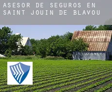 Asesor de seguros en  Saint-Jouin-de-Blavou