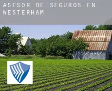 Asesor de seguros en  Westerham