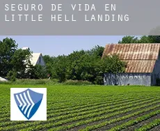 Seguro de vida en  Little Hell Landing