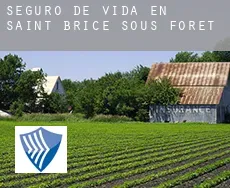 Seguro de vida en Saint-Brice-sous-Forêt