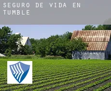 Seguro de vida en  Tumble
