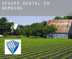 Seguro dental en  Bamburg