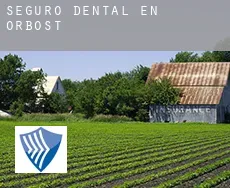 Seguro dental en Orbost