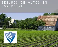 Seguros de autos en  Fox Point