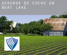 Seguros de coche en  Burt Lake