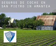 Seguros de coche en  San Pietro in Amantea