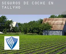 Seguros de coche en  Tallyho