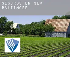 Seguros en  New Baltimore