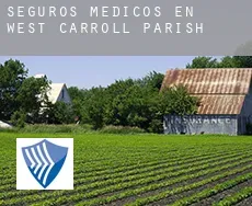 Seguros medicos en  West Carroll Parish