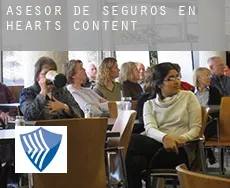 Asesor de seguros en  Hearts Content