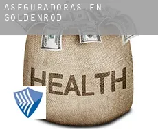 Aseguradoras en Goldenrod