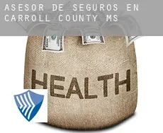 Asesor de seguros en  Carroll County