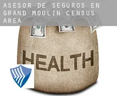 Asesor de seguros en  Grand-Moulin (census area)