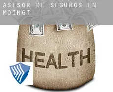 Asesor de seguros en  Moingt