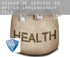 Asesor de seguros en  Wester Langenhorner Feld