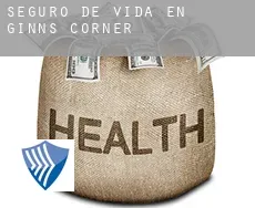 Seguro de vida en Ginns Corner