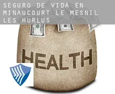Seguro de vida en  Minaucourt-le-Mesnil-lès-Hurlus