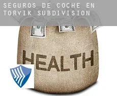 Seguros de coche en  Torvik Subdivision