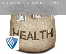 Seguros en  Grand River